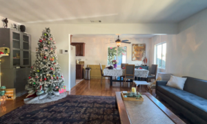 inside a living room, with christmas tree